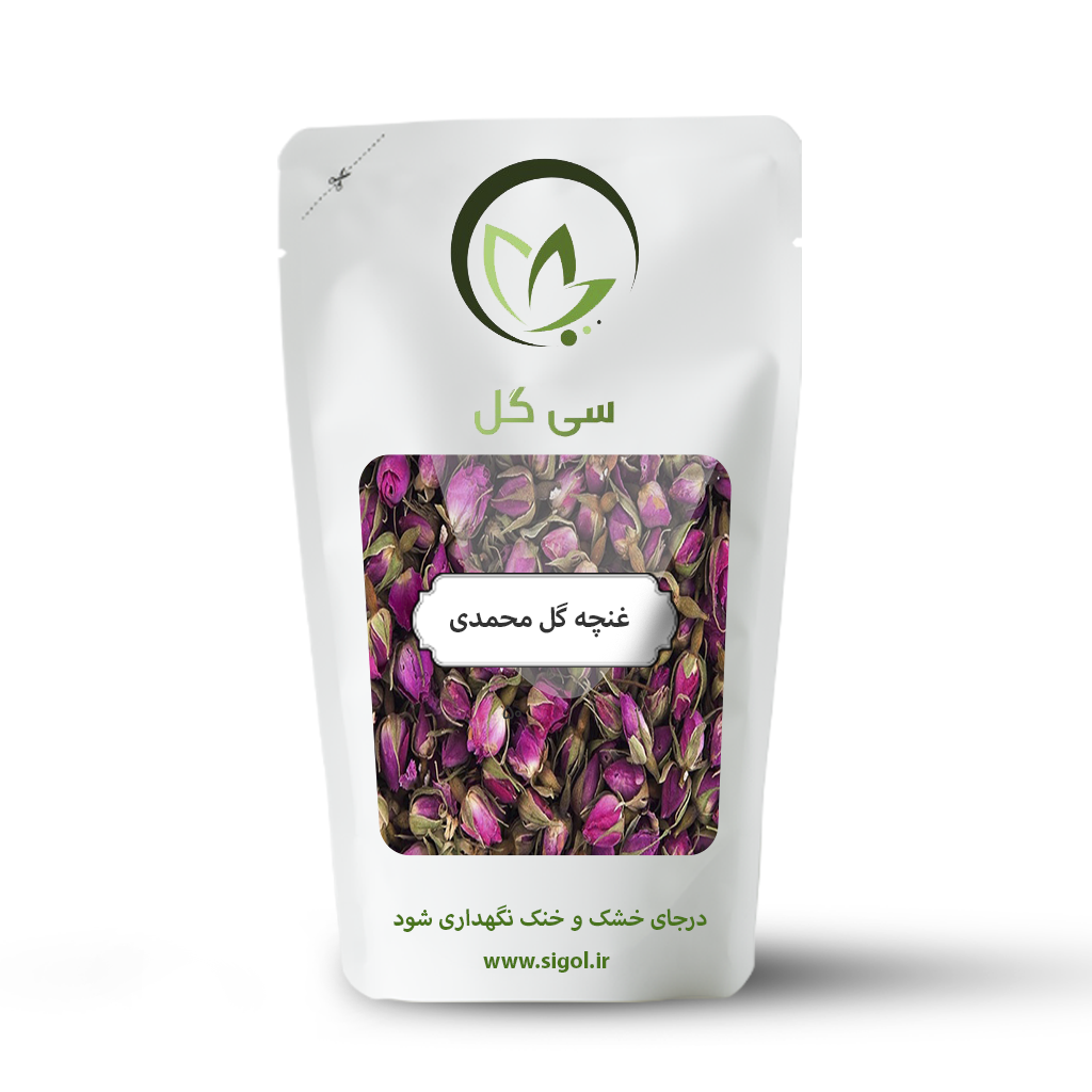 غنچه گل محمدی