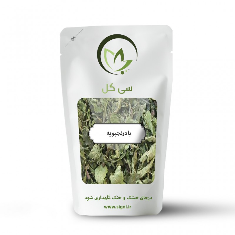 بادرنجبویه