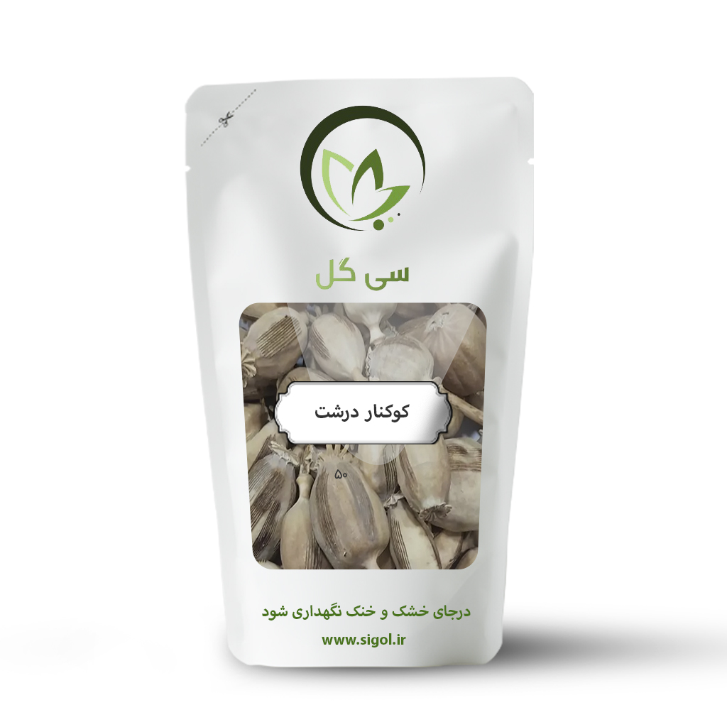 کوکنار درشت