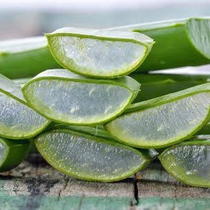 برگ الوورا سی گل