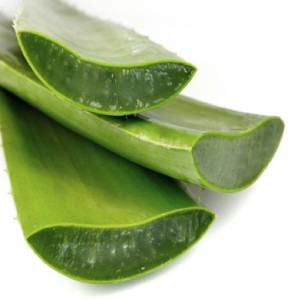 برگ الوورا سی گل