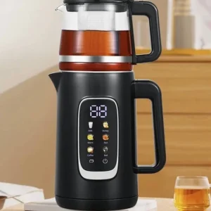 چایساز روهمی دیجیتال نانیوا مدل 4200