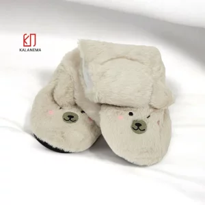 پاپوش ساقدار زنانه