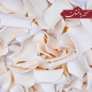 چیپس کشک باغستان.jpg