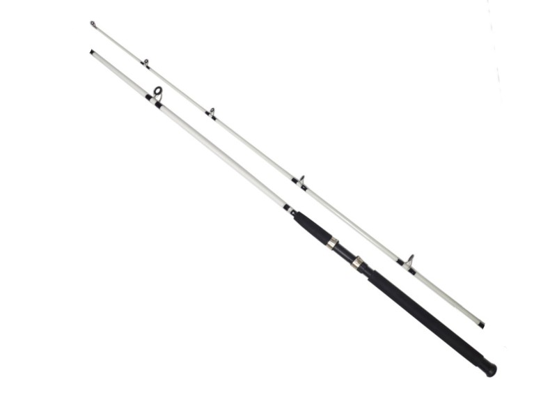 چوب ماهیگیری ژله ای دو تکه آلبااستار ALBASTAR 240CM