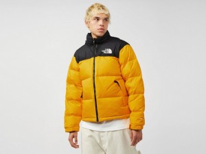 کاپشن لایت طرح نورس فیس THE NORTH FACE