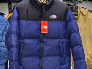 کاپشن لایت طرح نورس فیس THE NORTH FACE