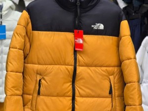 کاپشن لایت طرح نورس فیس THE NORTH FACE