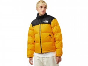 کاپشن لایت طرح نورس فیس THE NORTH FACE