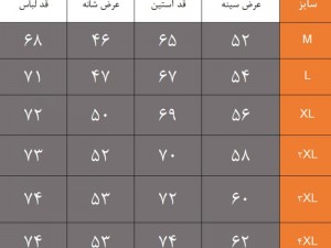 کاپشن پر نیمه سنگین نورث فیس