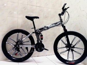 دوچرخه تاشو سایز ۲۶  EVERSTAR