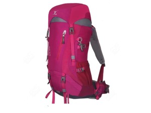 کوله‌ پشتی پیکنیو پلار PEKYNEW POLAR 40+5