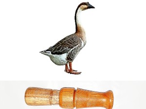 صدای غاز SAYRA