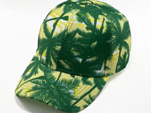 کلاه هاوایی