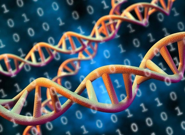 چرا سازندگان هارد دیسک روی ذخیره‌سازی داده‌ها در DNA سرمایه‌گذاری می‌کنند؟