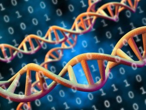چرا سازندگان هارد دیسک روی ذخیره‌سازی داده‌ها در DNA سرمایه‌گذاری می‌کنند؟