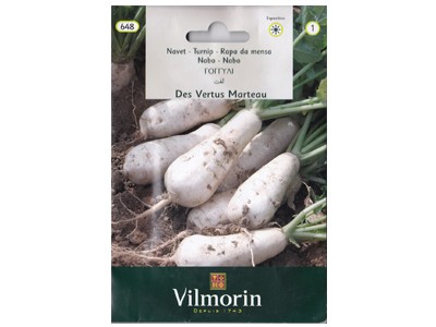 بذر شلغم سفید کشیده ویلمورین