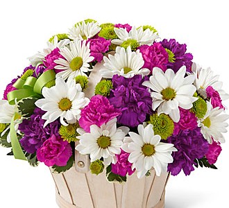 گل های زیبا و معنی آن ها برای هدیه دادن