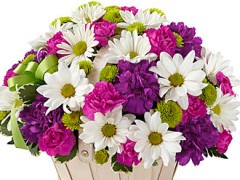 گل علاوه بر سمبل زیبایی، یکی از هدایایی است که نشان دهنده احساسات و عواطف انسان در شرایط مختلف است. هدیه دادن گل برای هدیه گیرنده احساس...