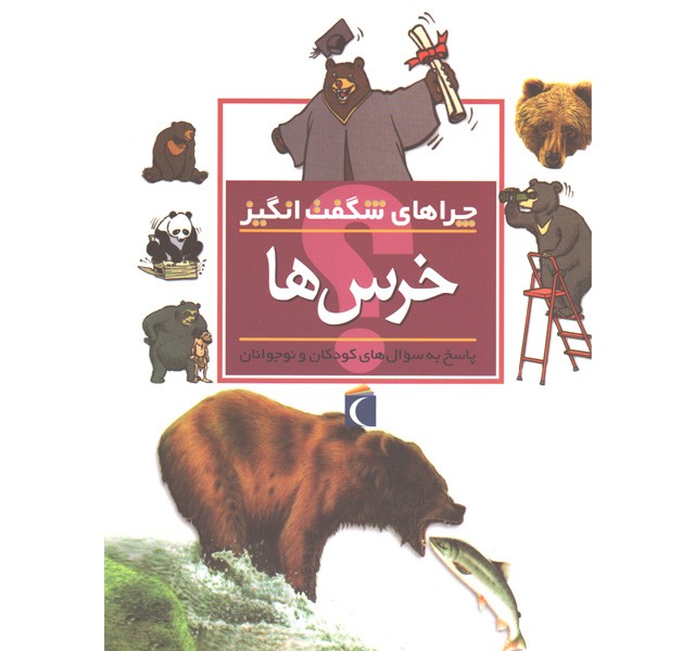 کتاب چراهای شگفت انگیز خرس ها اثر باربارا تایلور