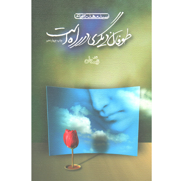 کتاب طوفان دیگری در راه است اثر سیدمهدی شجاعی