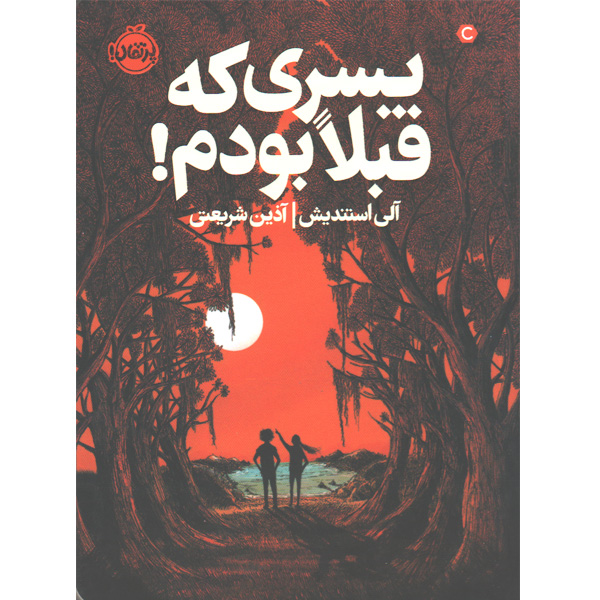 کتاب پسری که قبلا بودم اثر آلی استندیش