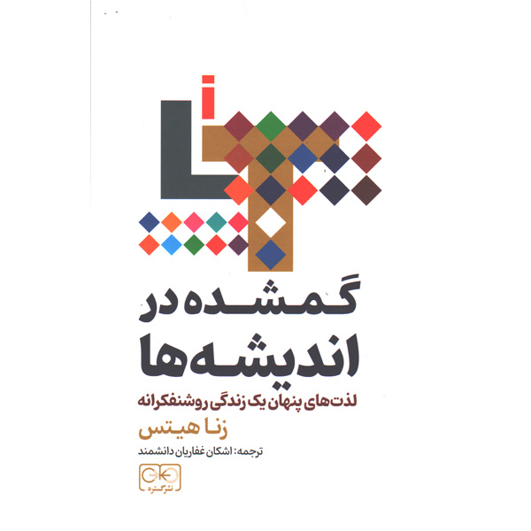 کتاب گمشده در اندیشه ها اثر زنا هیتس