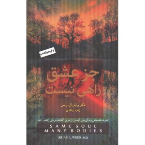 کتاب جز عشق راهی نیست اثر برایان ال وایس