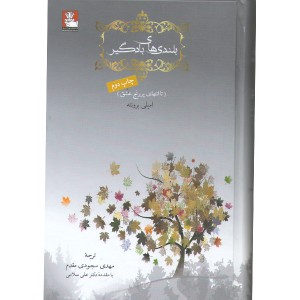 کتاب بلندی های بادگیر اثر امیلی برونته