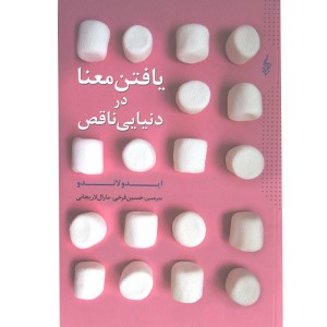 کتاب یافتن معنا در دنیایی ناقص اثر ایدو لاندو