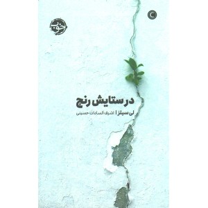 کتاب در ستایش رنج اثر لی سیلزا