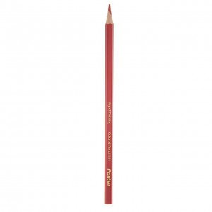 مداد رنگی 12 رنگ پنتر