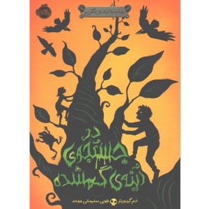 کتاب دوباره با برادران گریم 2 درجستجو آینه ی گمشده اثر ادم گیدویتز