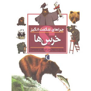 کتاب چراهای شگفت انگیز خرس ها اثر باربارا تایلور