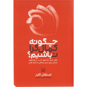 کتاب چگونه کمال گرا نباشیم اثر استفان گایز