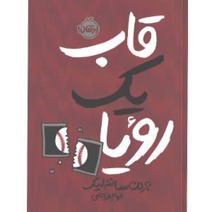 کتاب قاب یک رویا اثر جردن ساننبلیک
