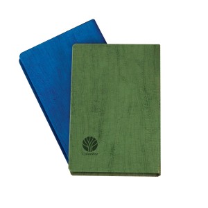 سر رسید ریرا  1402