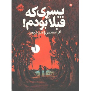 کتاب پسری که قبلا بودم اثر آلی استندیش