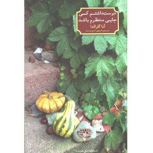 کتاب دوست داشتم کسی جایی منتظرم باشد اثر آنا گاوالدا