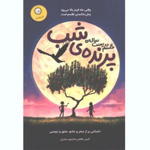 کتاب طلسم دویست ساله ی پرنده ی شب اثر آلیس هافمن