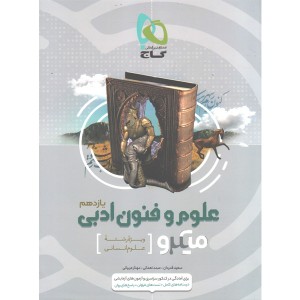 کتاب میکرو علوم و فنون ادبی  یازدهم انسانی گاج چاپ 1401