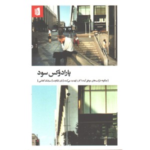 کتاب پارادوکس سود اثر یان ایکاوت
