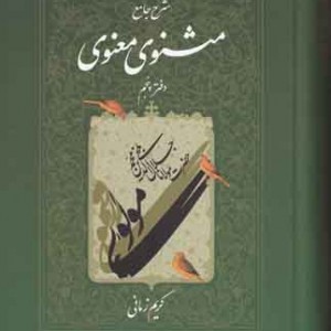 کتاب مثنوی معنوی کریم زمانی ج ۵