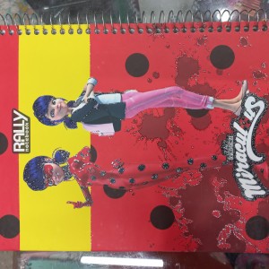 دفتر 100 برگ تک خط جلد سخت