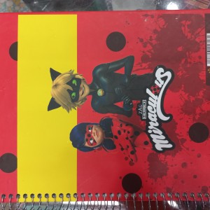 دفتر 100 برگ تک خط جلد سخت