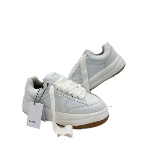 دوایکس صباغی