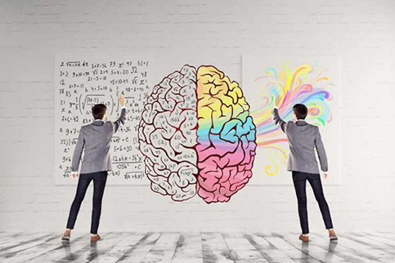هوش هیجانی و نقش آن در موفقیت فردی و حرفهای
