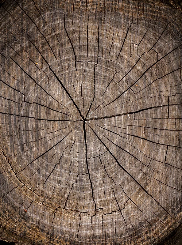 فرشینه و قالیچه آشپزخانه برند رویان کد D9 سایت خرید برو