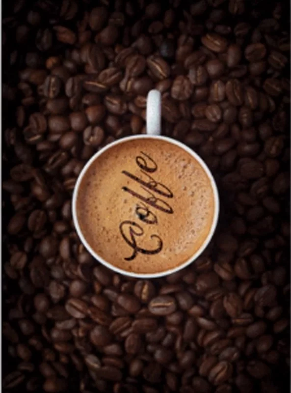 فرشینه و قالیچه آشپزخانه برند رویان کد D38 سایت خرید برو