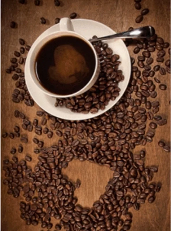 فرشینه و قالیچه آشپزخانه برند رویان کد D41 سایت خرید برو